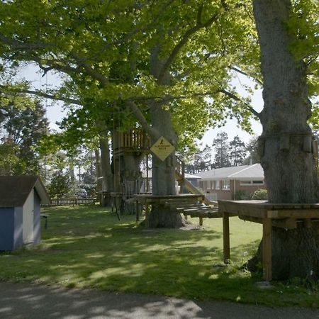 Te Aroha Holiday Park And Motels المظهر الخارجي الصورة